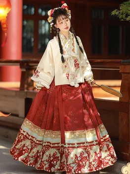 Древна китайска традиционна ханфу бродерия танцов костюм подобрение Ming зимно облекло 3-парче новогодишно облекло
