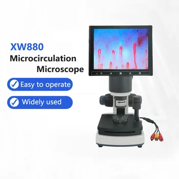 Цифров микроскоп Zoom Nailfold Капилярна микроциркулация детектор Анализатор на кръвна микроциркулация с 7/8/9Digital екран